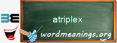 WordMeaning blackboard for atriplex